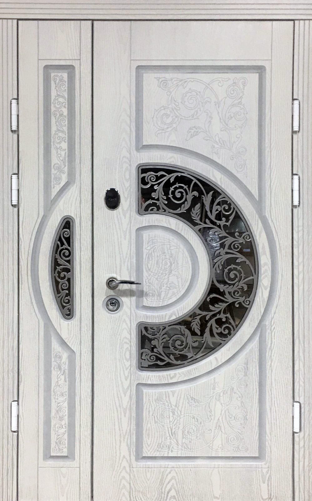 Полімерні двері для будинку